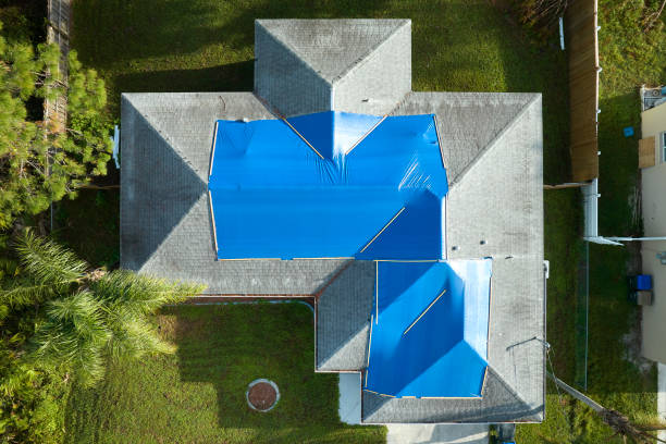 Best Metal Roofing Installation  in Chinook, MT