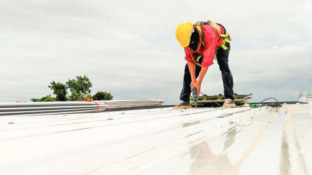 Best Solar Panel Roofing Installation  in Chinook, MT