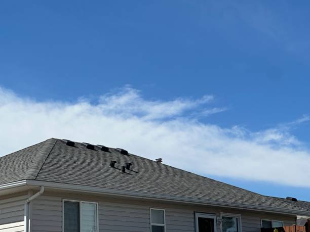 Best Asphalt Shingles Roofing  in Chinook, MT