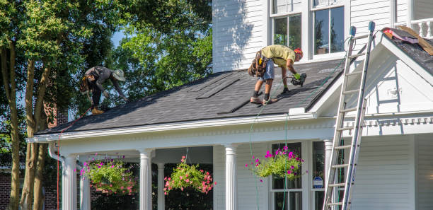 Best Cold Roofs  in Chinook, MT